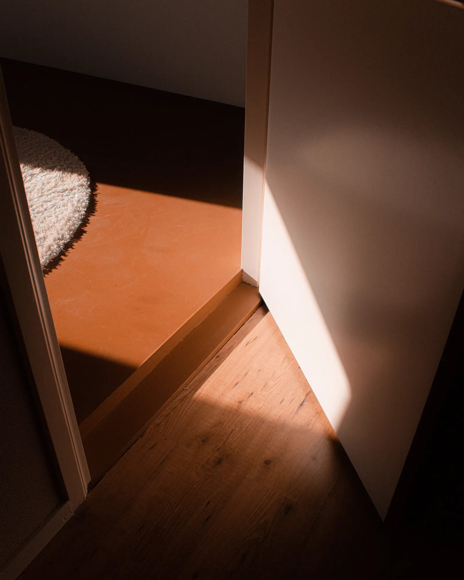 Sol entrando por una puerta abierta sobre un piso de madera y una alfombra redonda.