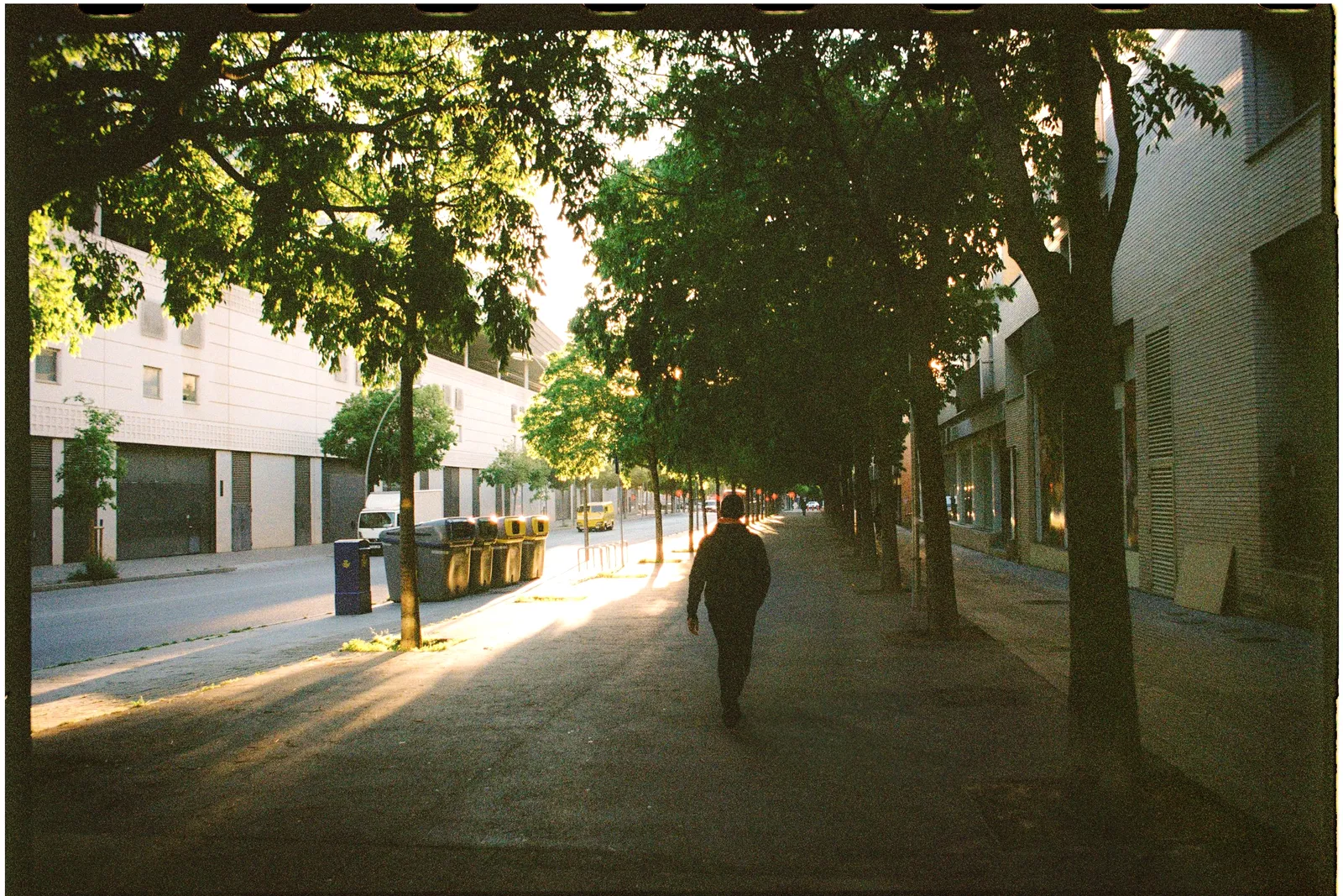 Una calle tranquila con una sola persona caminando bajo árboles con sol filtrado, temprano.